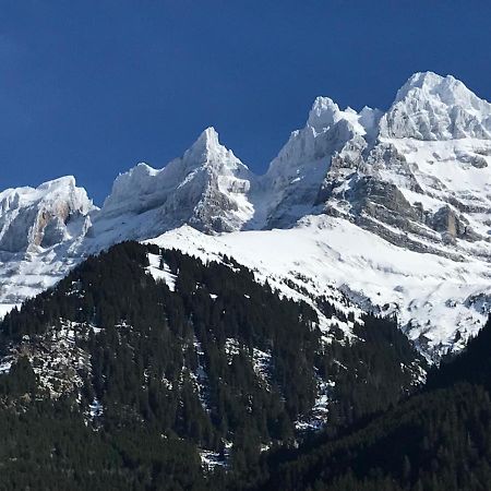Chalet Hestia Champéry Εξωτερικό φωτογραφία